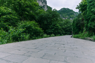 林间石板路