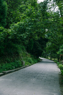 雁荡山林间蜿蜒小路