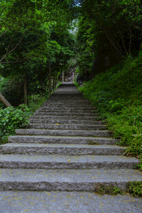 雁荡山林间石阶小道