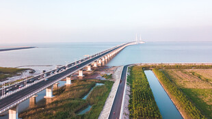 跨海大桥风景