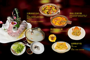 多样中式菜肴美食展示