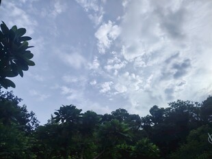 林间天空