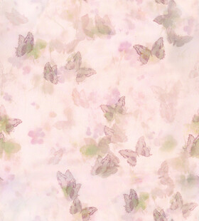 蝴蝶花