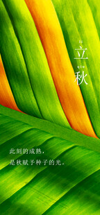 立秋海报翠绿叶片的自然纹理