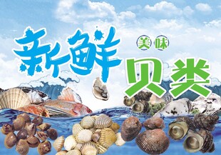 新鲜贝类吊旗