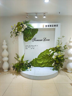 室内绿植装饰景观