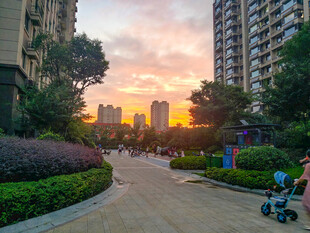 设计素材