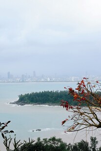 海岛风光远眺城市天际线