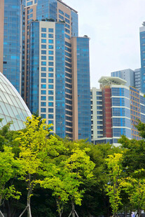 城市绿树与摩天大楼景观