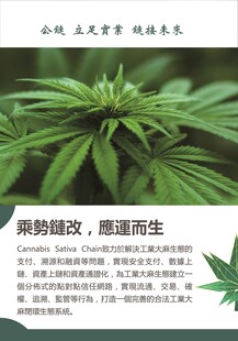 植物展示