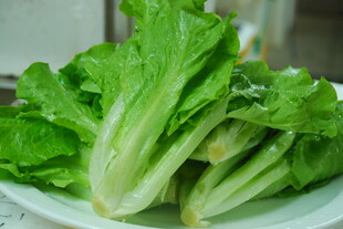 新鲜生菜摆放在白色盘中