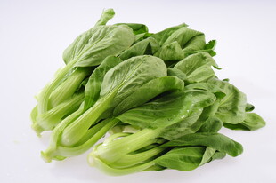 新鲜小白菜堆叠