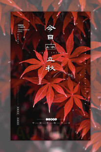 立秋红枫下的日式意境之美