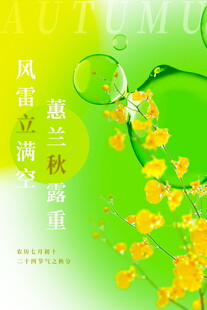 立秋荷兰秋景中的风铃草