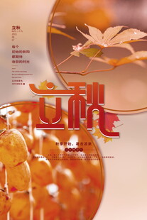 立秋海报秋日石榴与飞虫景象