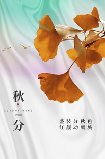 秋分时节银杏叶之美