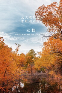 秋日湖畔斑斓树林美景