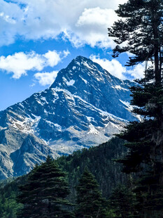 高原雪山森林