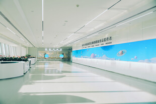现代宽敞的室内办公空间