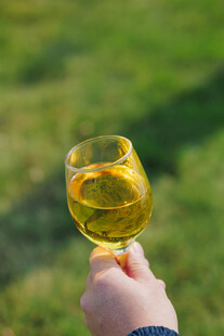 手持黄澄澄的葡萄酒杯