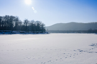 冬日冰封湖畔雪景