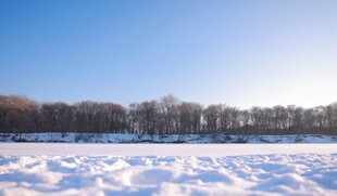 冬日雪地风光