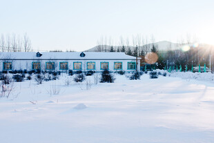 冬日雪景中的建筑群