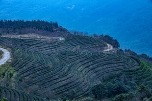 山间梯田与蜿蜒公路美景