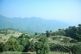 青山绿树间的秀丽山景