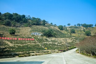 山间蜿蜒公路