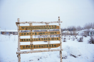 雪地中的木质指示牌
