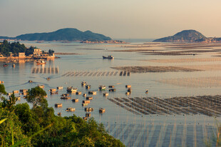 海上养殖景观宁静之美