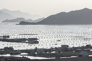 海上养殖景观