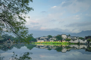 水乡湖畔美景