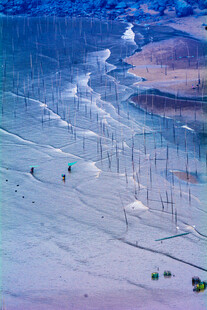 冬日雪野中的活动场景