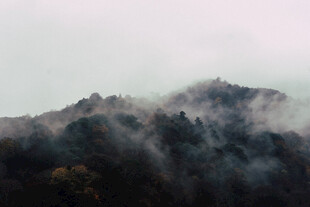 云雾缭绕的山峦美景