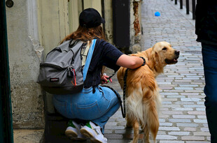 女子街边亲昵互动金毛犬