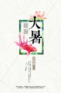 大暑节气灵动红鱼插画