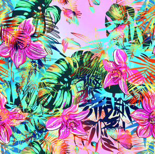 热带花卉植物绚丽插画