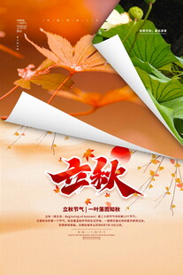 立秋时节一叶知秋意浓