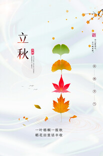 立秋时节枫叶飘落美景