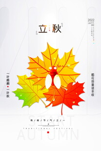立秋枫叶海报