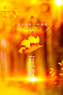立秋秋日林间梦幻光影之景