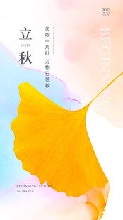 立秋银杏叶的诗意画面