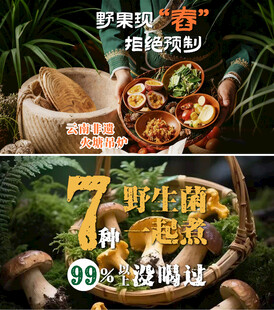 7月野生菌上市优惠