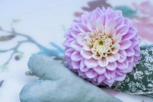 紫色花卉与摆件静物组合