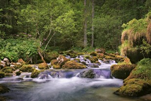 山间溪流潺潺