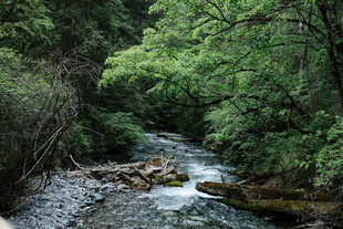 山间溪流