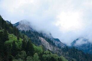 云雾缭绕的翠绿山峦