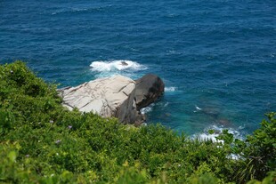 海岸绿植与礁石海景